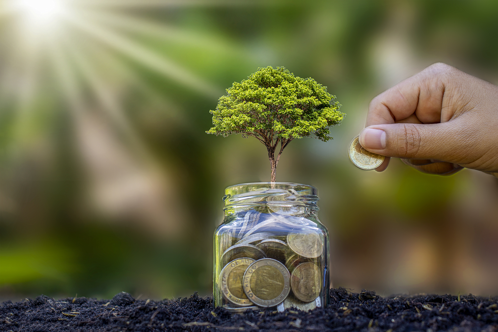 bigstock Plants Grow From Money Bottles 401769353 bigstock Plants Grow From Money Bottles 401769353